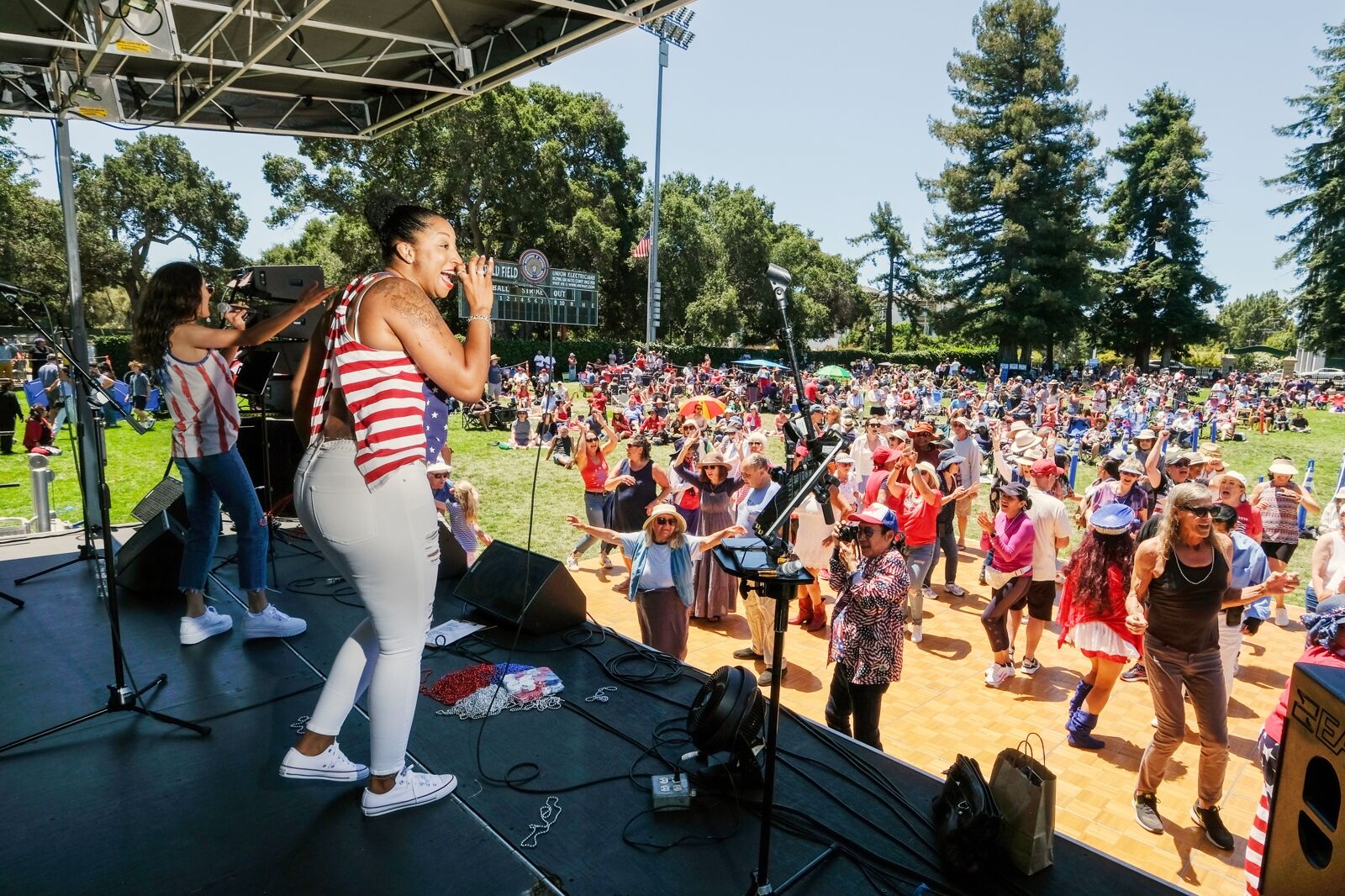 Party in the park